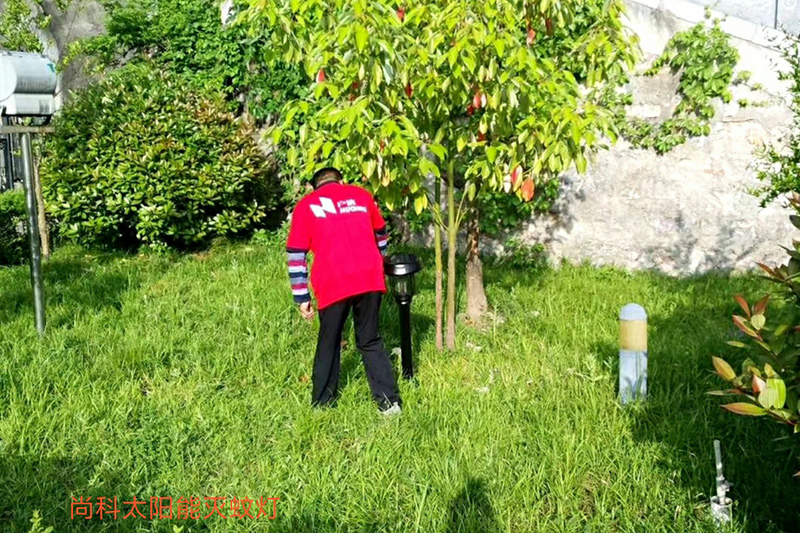 戶外草坪滅蚊器，草坪太陽能滅蚊燈