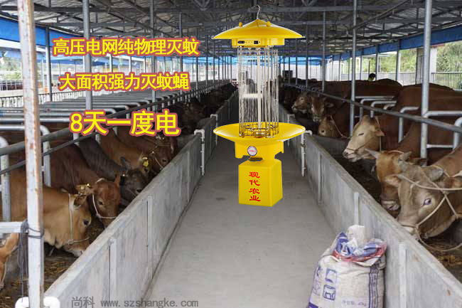 養(yǎng)殖場(chǎng)滅蚊燈有效解決養(yǎng)牛場(chǎng)蚊子蒼蠅多問題