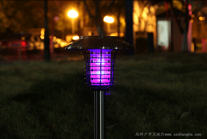 小區草坪滅蚊燈夜間亮燈誘蚊圖片