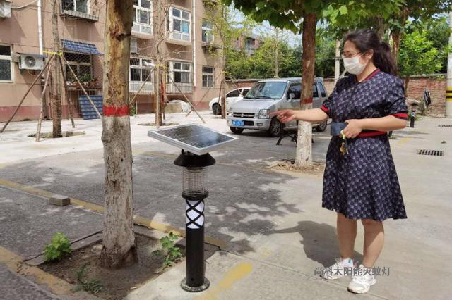 河北某老小區(qū)太陽能滅蚊燈成為夏季捕蚊利器