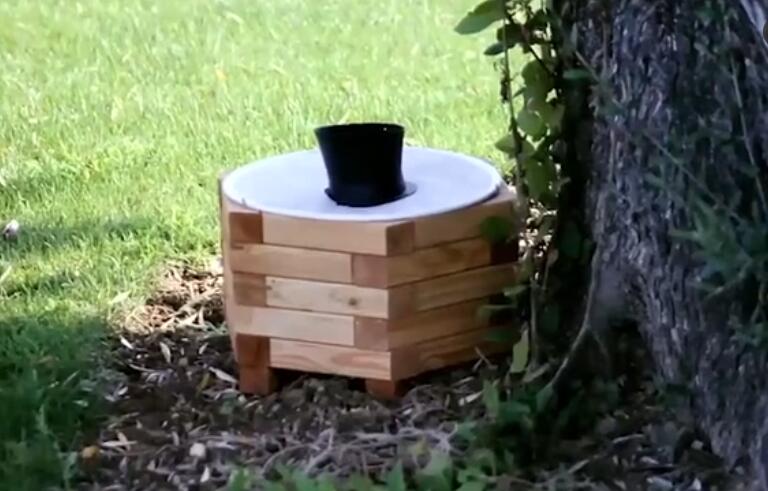 這種國(guó)外滅蚊器你沒見過，價(jià)格貴，效果差