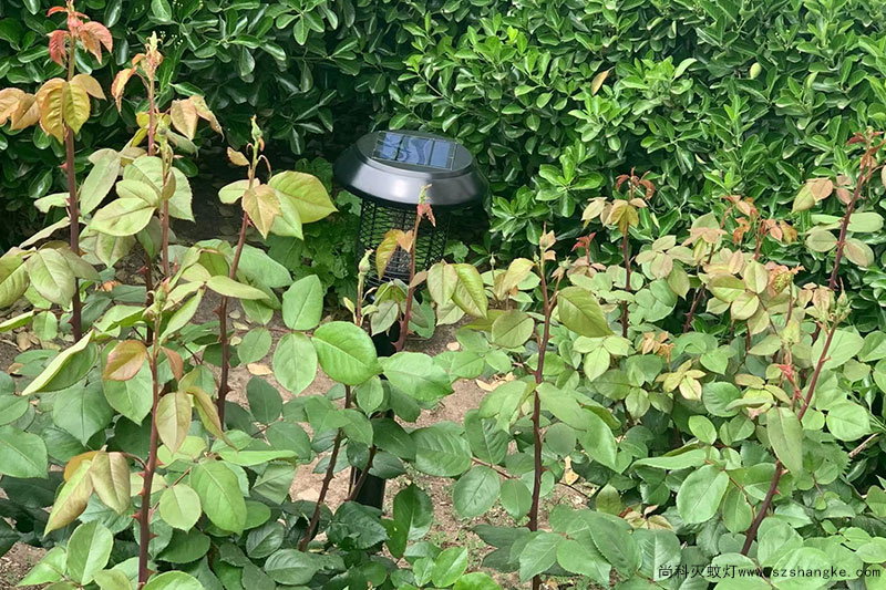 醫院安裝戶外太陽能滅蚊燈