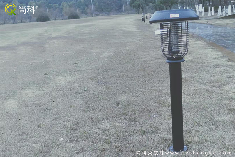 湖南長(zhǎng)沙公園草坪太陽能滅蚊燈安裝現(xiàn)場(chǎng)及效果