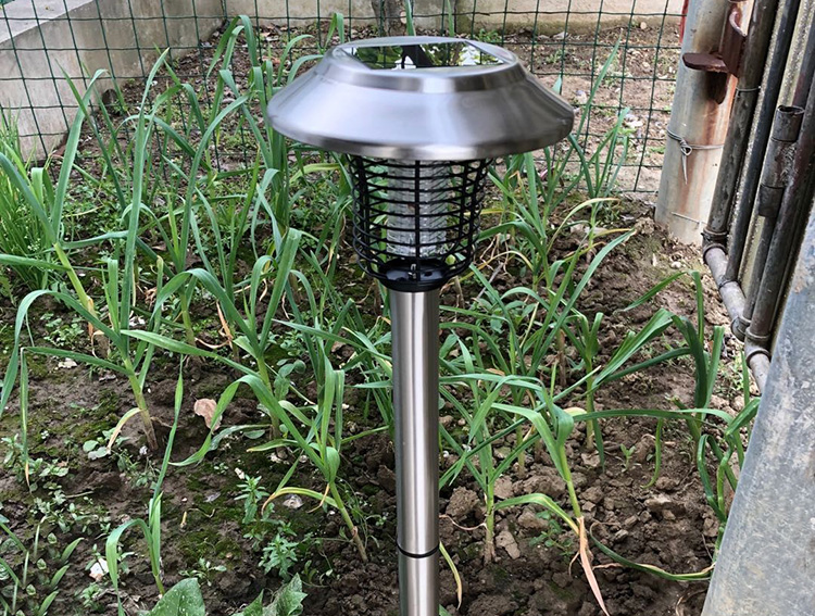 花園蚊子太多了該怎樣滅蚊呢